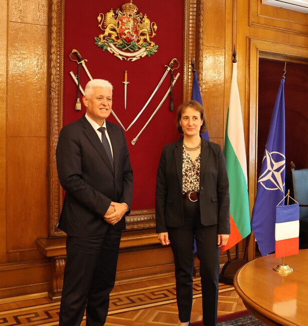 Bulgarian Armed Forces Modernization Projects Discussed with France
