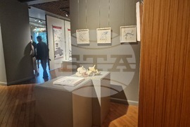 Национална художествена академия - изложба