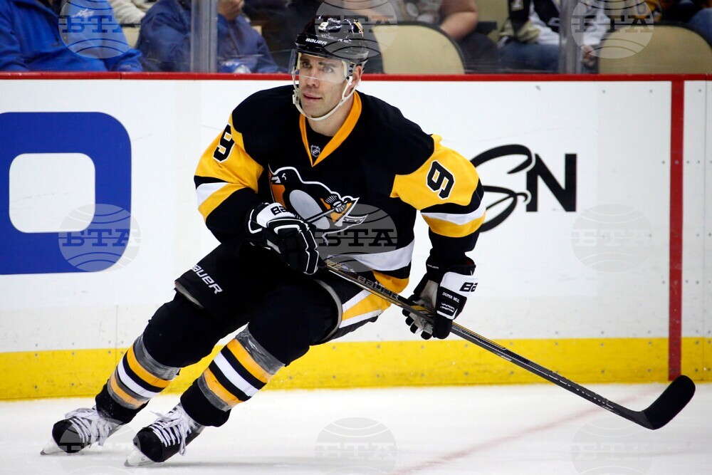 Islanders Dupuis Hockey
