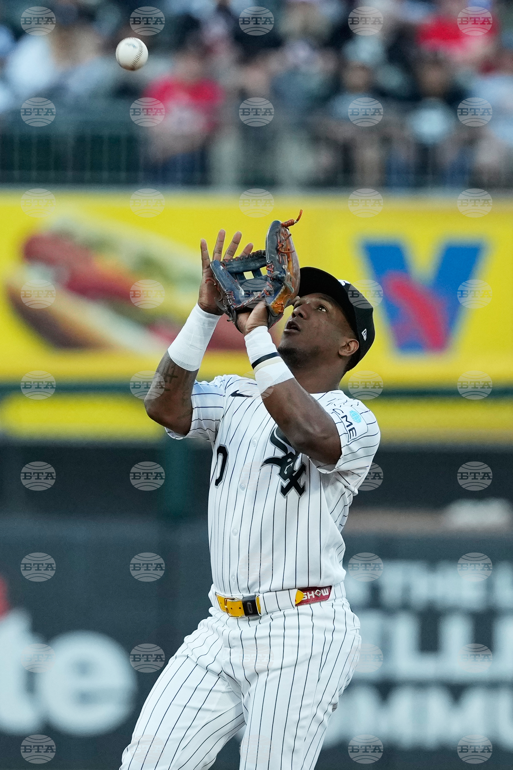 Guardians White Sox Baseball