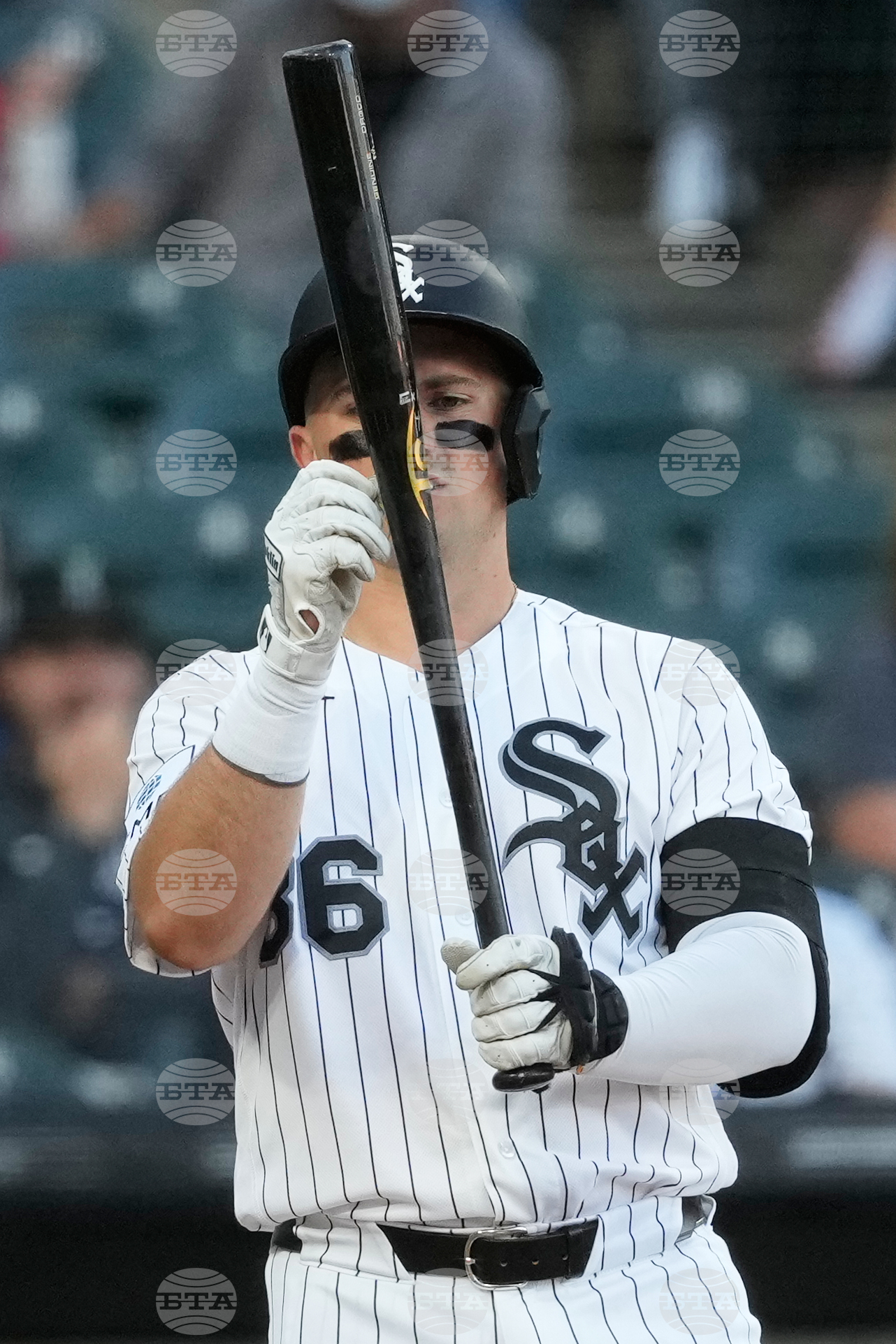 Guardians White Sox Baseball