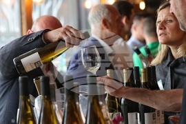 17 изби от Западна и Централна Дунавска равнина - Винена карта