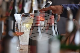 17 изби от Западна и Централна Дунавска равнина - Винена карта