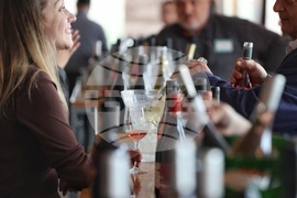 17 изби от Западна и Централна Дунавска равнина - Винена карта