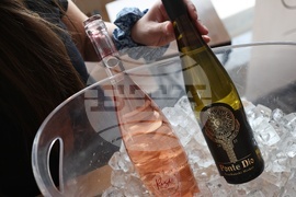 17 изби от Западна и Централна Дунавска равнина - Винена карта