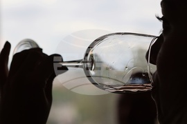 17 изби от Западна и Централна Дунавска равнина - Винена карта