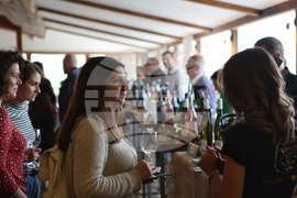 17 изби от Западна и Централна Дунавска равнина - Винена карта