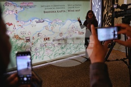 17 изби от Западна и Централна Дунавска равнина - Винена карта