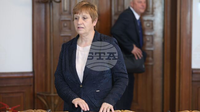 Структурата на БАН включва 44 института, две академични звена и девет общоакадемични помощни звена, каза член-коресподент Евелина Славчева