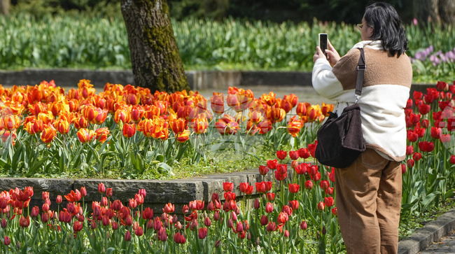 Повечето жени в Германия не се чувстват в безопасност на обществени места, показва проучване