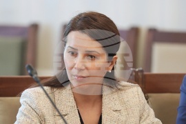 Парламент - Комисия по туризъм - заседание