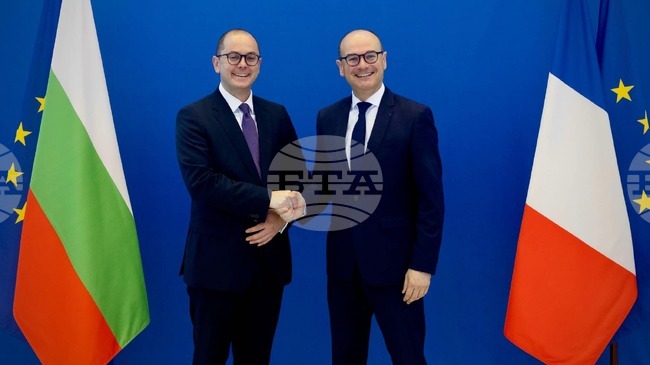 Energy, Defence Industry Key Future Cooperation Spheres for Bulgaria and France, Economy Ministry Says