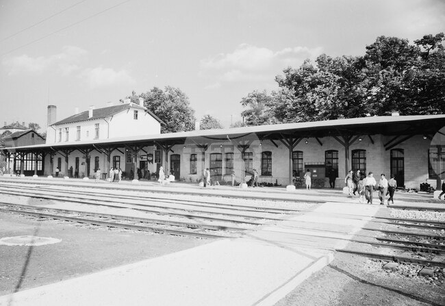 BTA's Archives