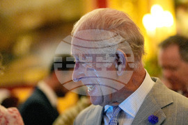 Britain Royals
