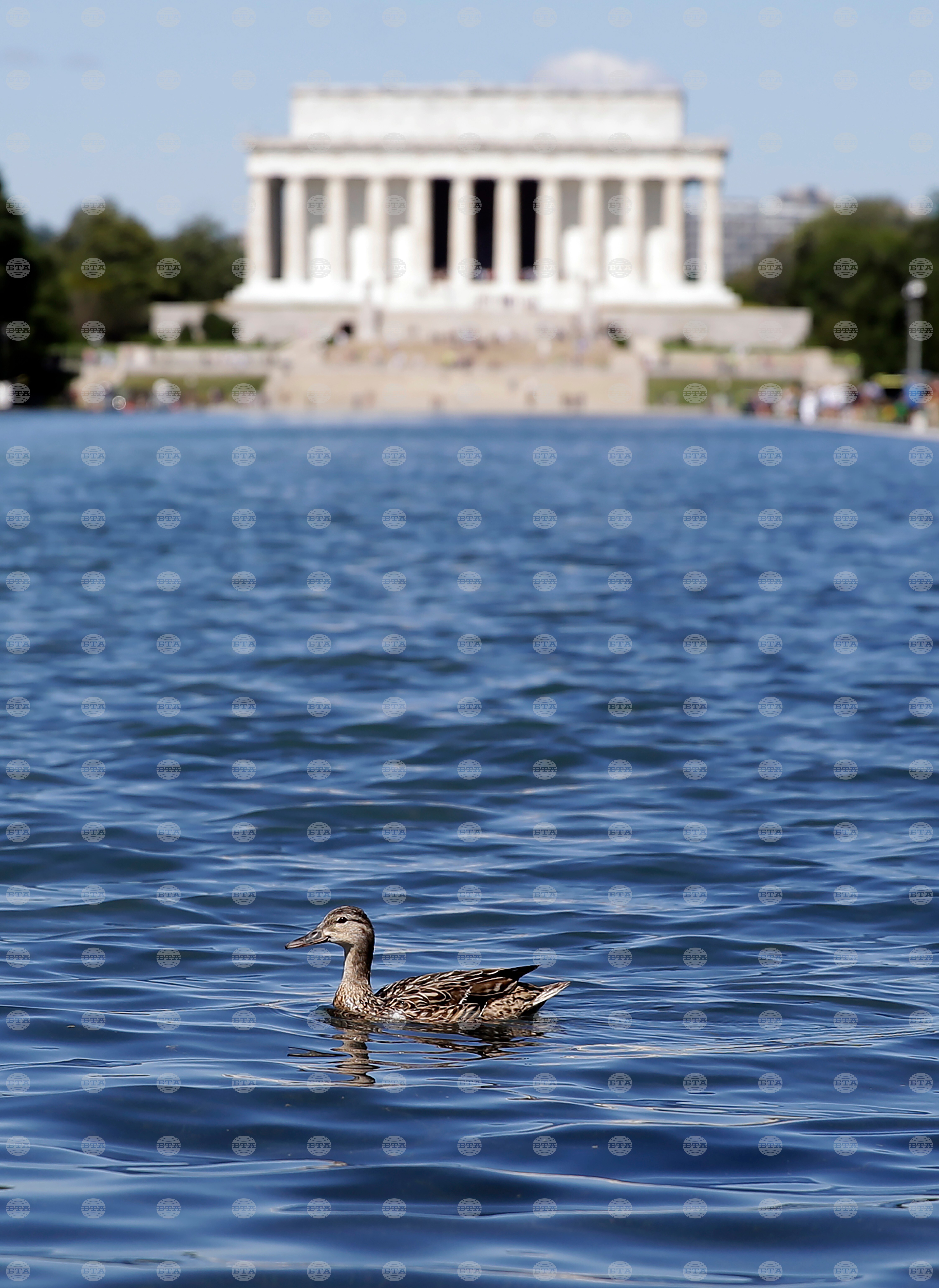 Lincoln Memorial Reflecting Pool
