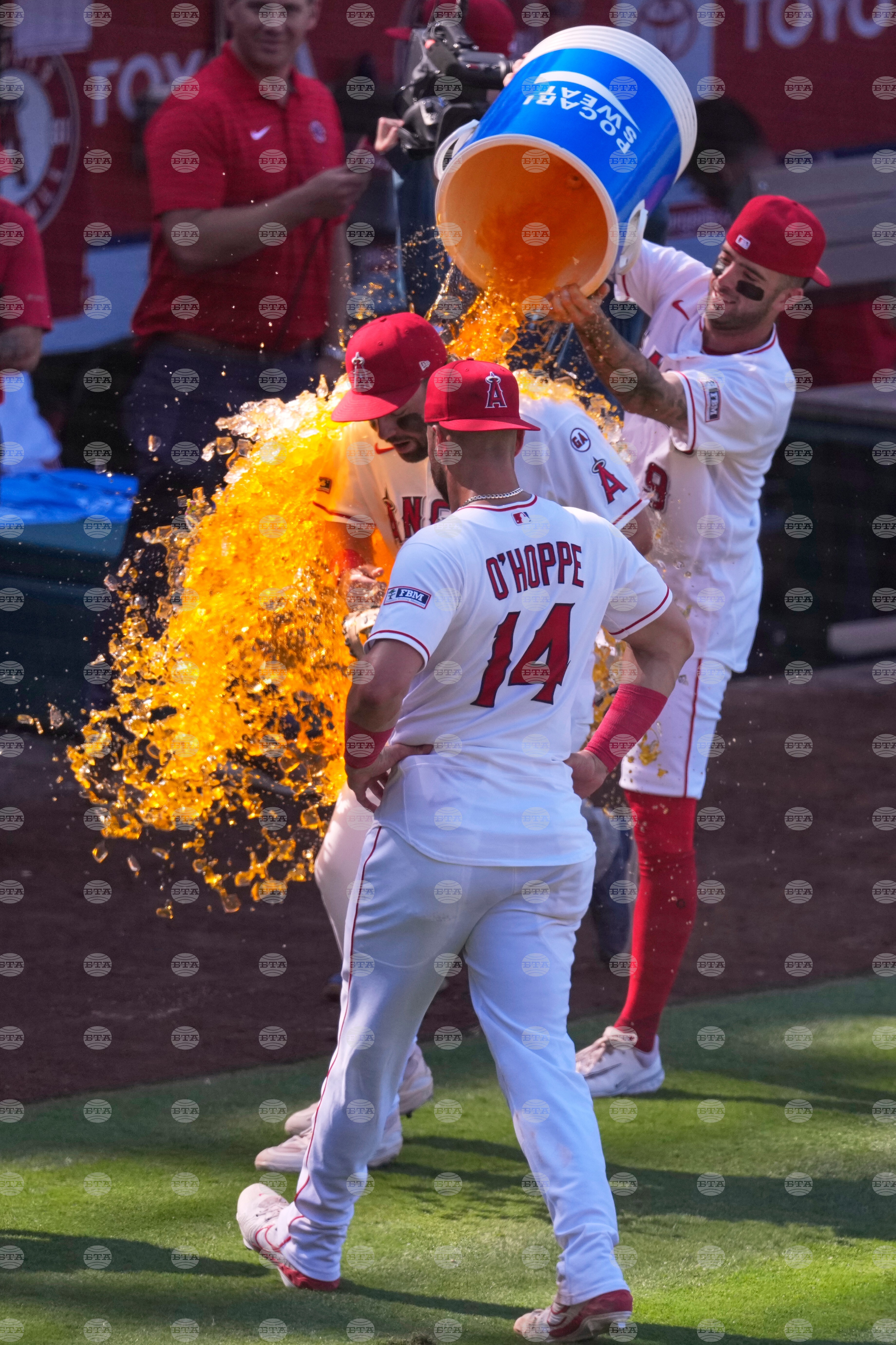 Orioles Angels Baseball