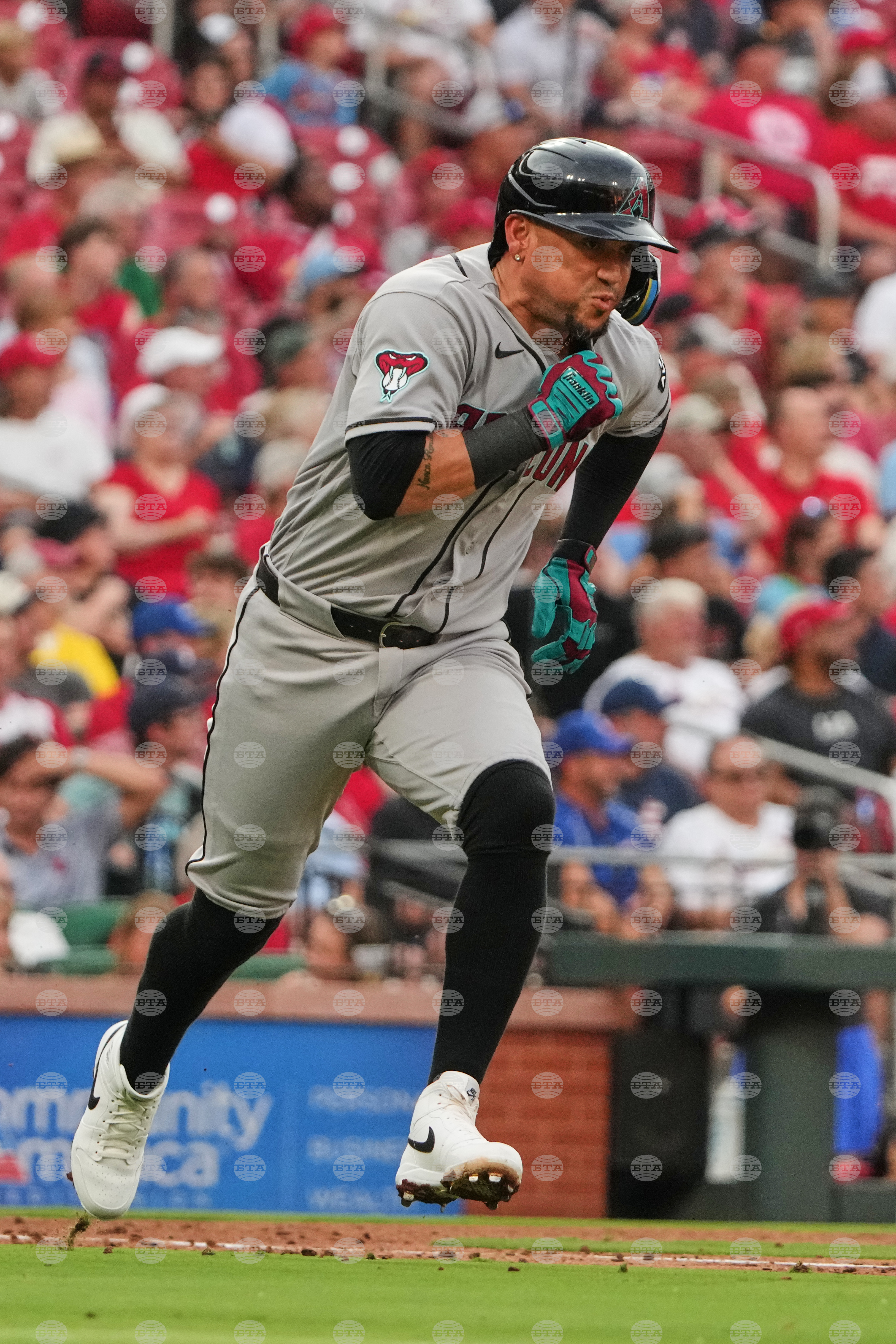 Diamondbacks Cardinals Baseball