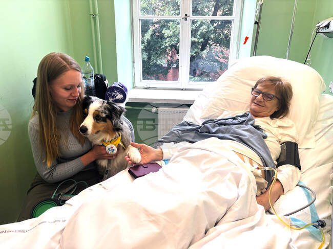 Poland Pets in Hospitals
