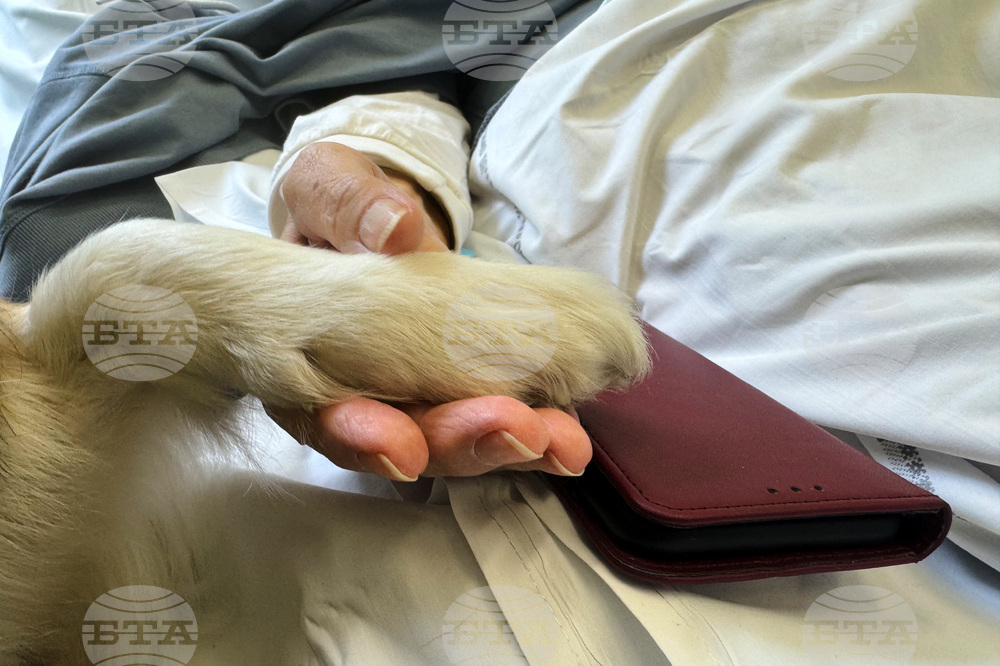 Poland Pets in Hospitals