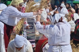 Село Мадан - жътва - откриване