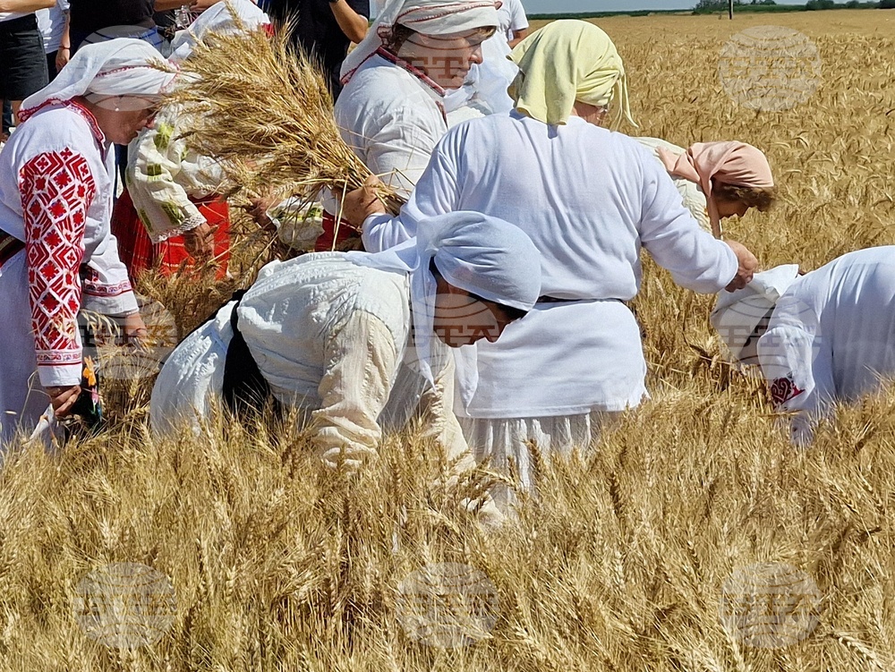 Село Мадан - жътва - откриване