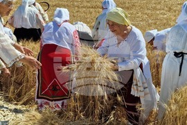 Село Мадан - жътва - откриване