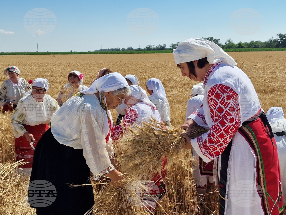 Село Мадан - жътва - откриване