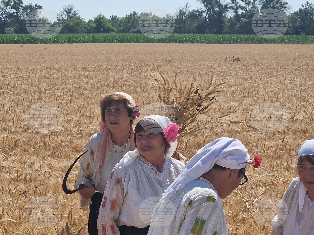 Село Мадан - жътва - откриване