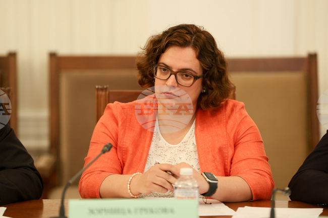 Българските културни институти работят с бюджет от около 3,1 млн. евро, а са необходими още 3,5 млн. евро, каза заместник-министърът на културата Зорница Грекова