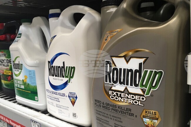 Roundup Weed Killer Cancer