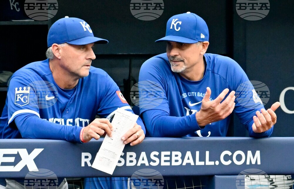 Royals Rays Baseball
