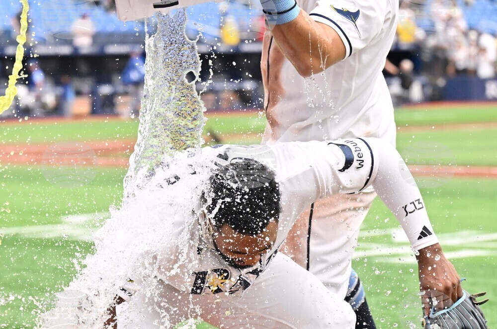 Royals Rays Baseball