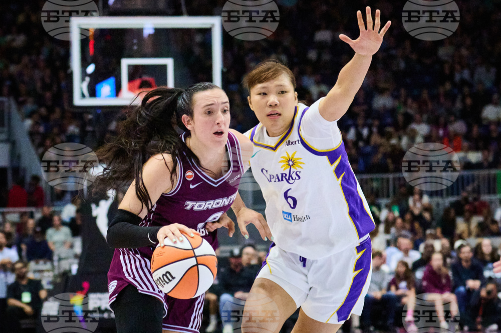 Sparks Tempo Basketball