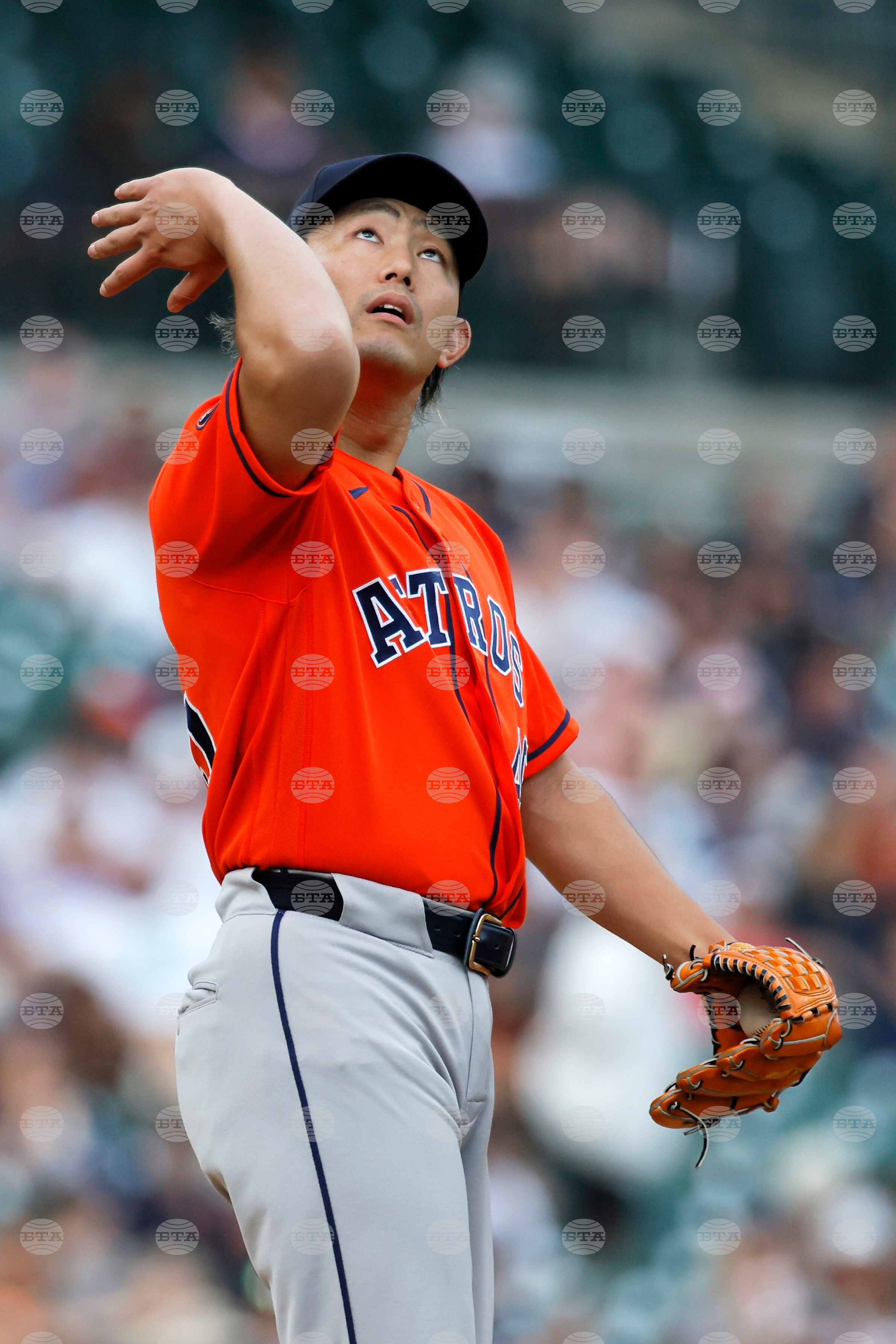 Astros Tigers Baseball