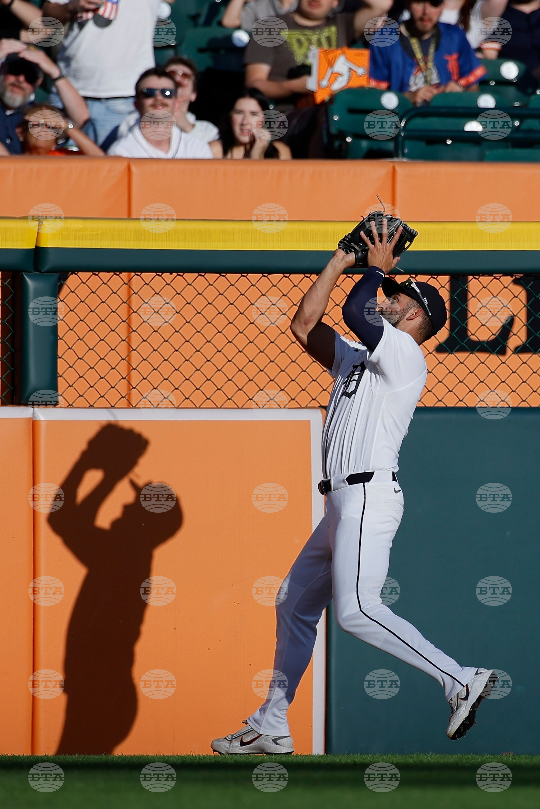 Astros Tigers Baseball
