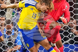 Sweden Japan WCup Soccer
