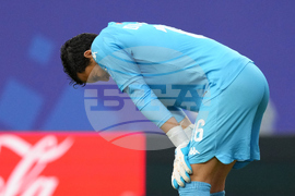 Netherlands Tunisia WCup Soccer