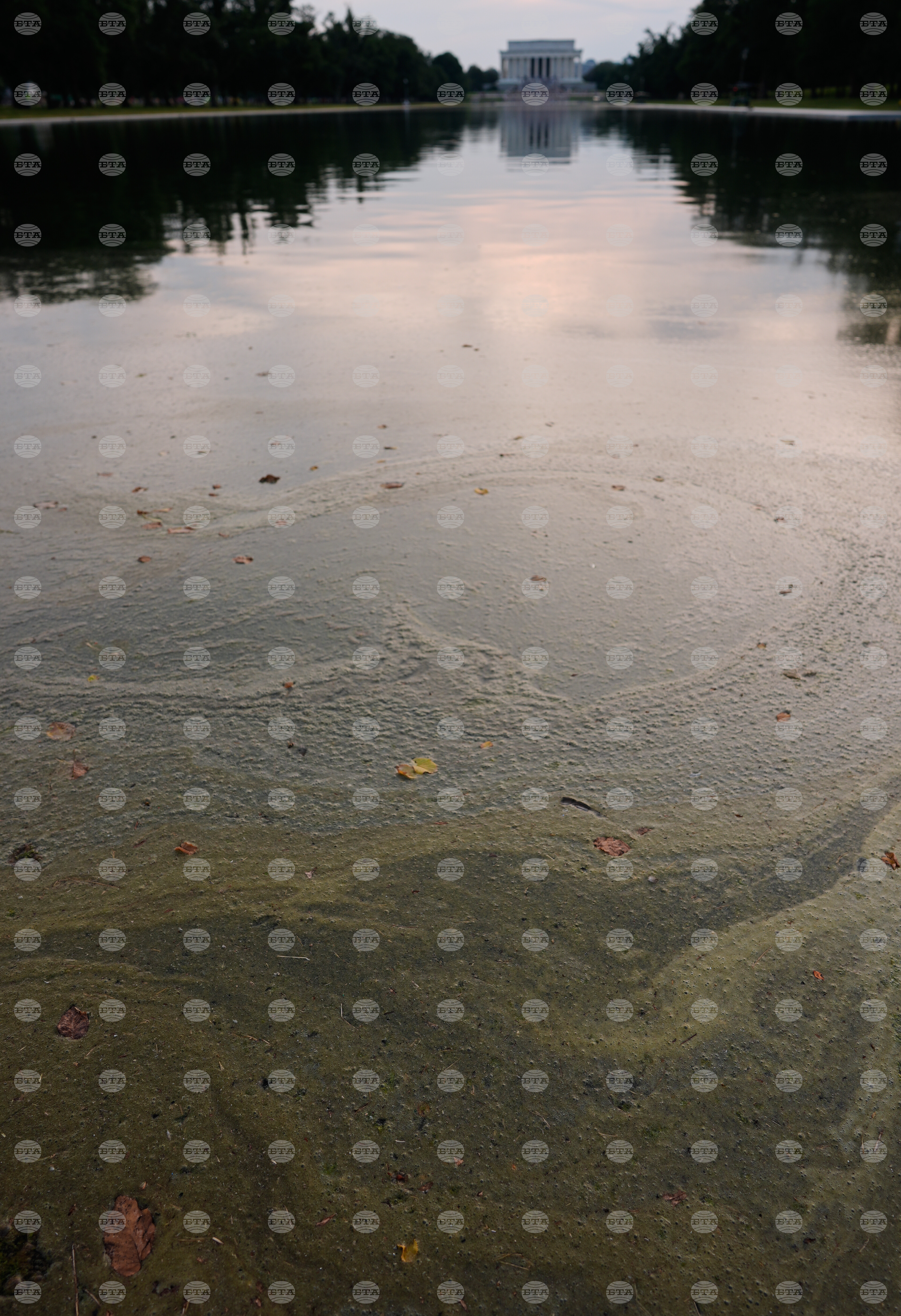 Lincoln Memorial Reflecting Pool