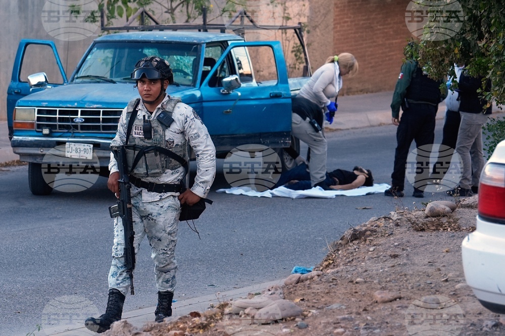 Mexico Cartels