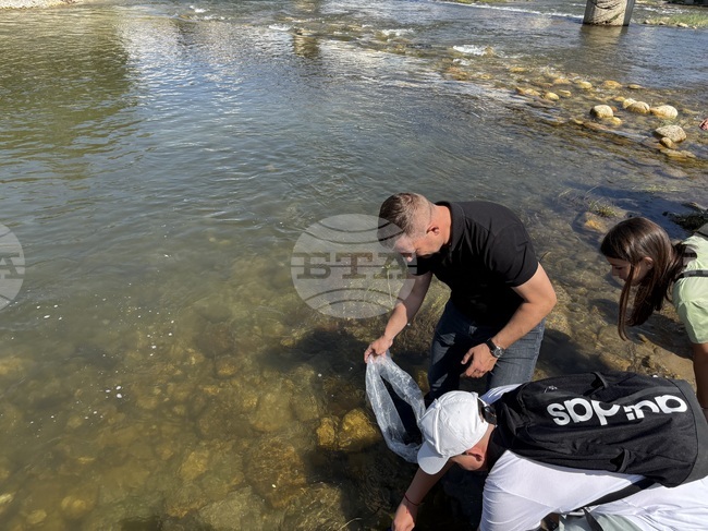 Nearly 15,000 Balkan Trout Released Into Iskar River in Samokov