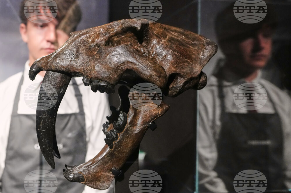 Britain Art Auction