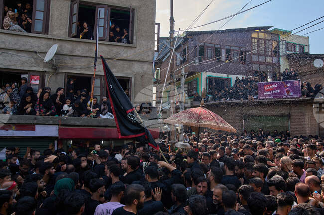 India Ashoura