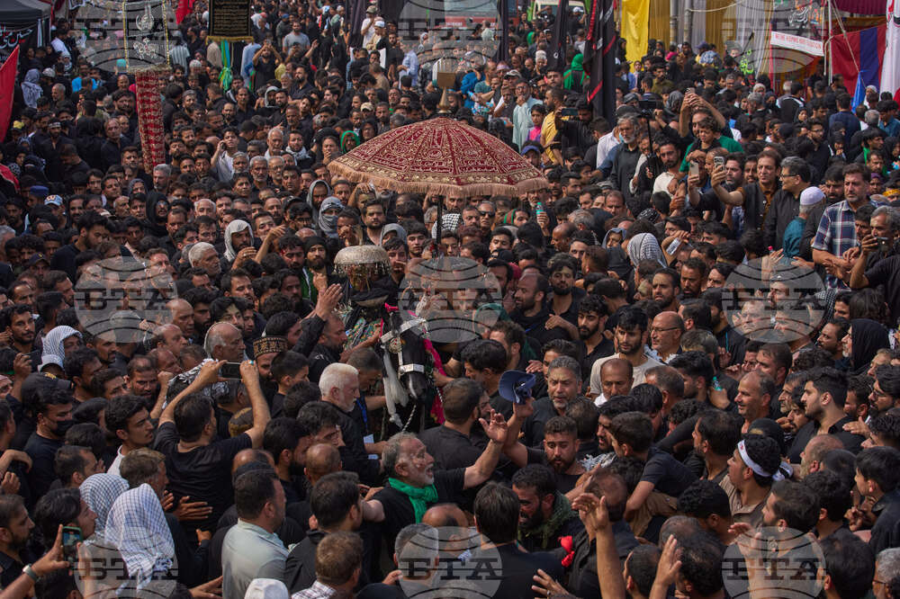 India Ashoura