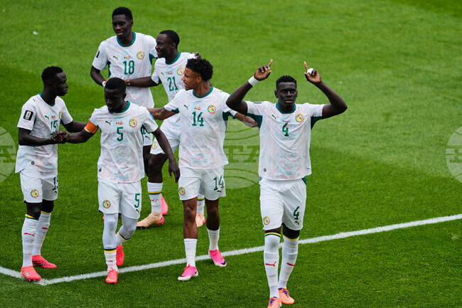 Senegal Iraq WCup Soccer