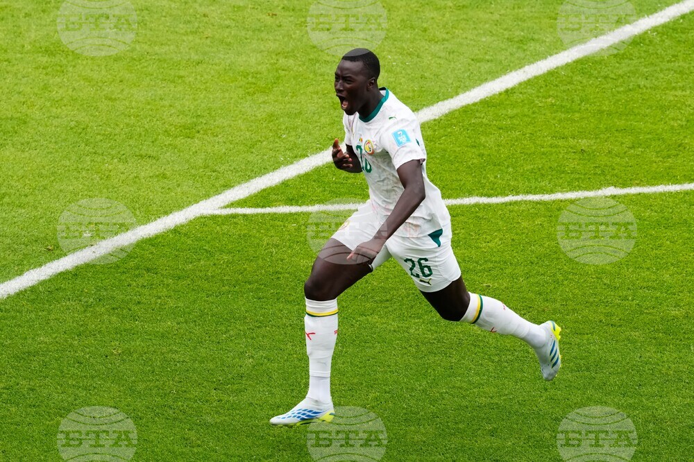 Senegal Iraq WCup Soccer