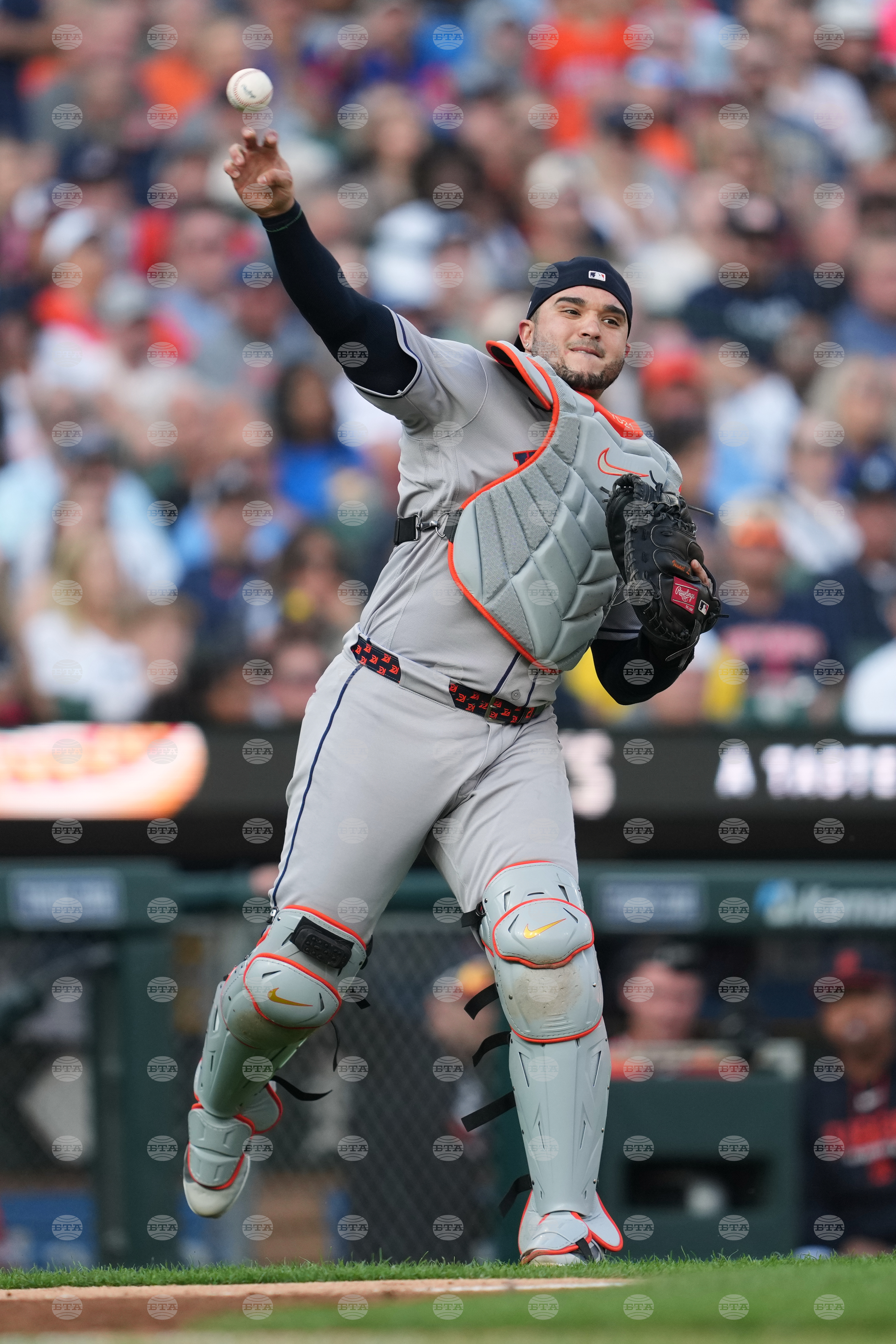 Astros Tigers Baseball