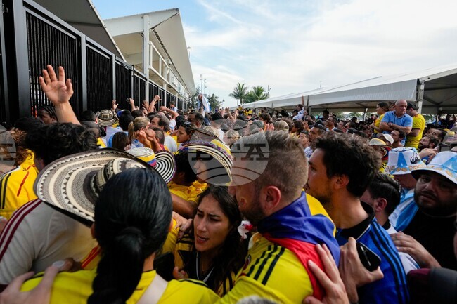 WCup Colombia Fans