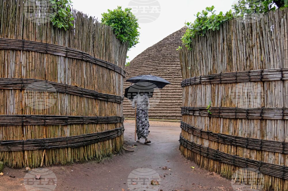 Rwanda Royal Cows