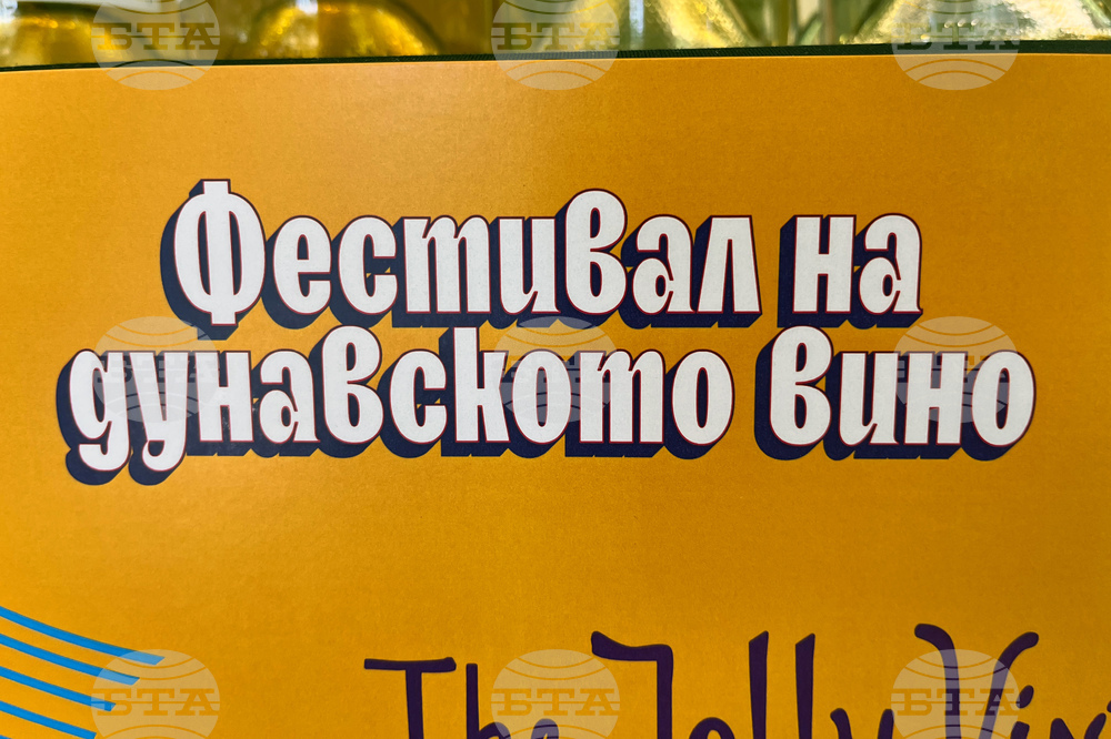 Козлодуй - Фестивал на дунавското вино