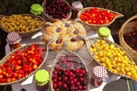 Кюстендил - Празник на черешата